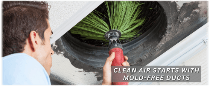 Air Duct Mold Removal in Downers Grove